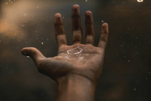 GRATITUDE IN GRIEF