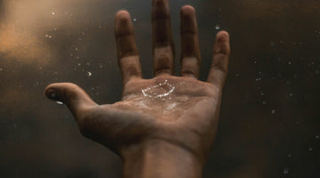 GRATITUDE IN GRIEF