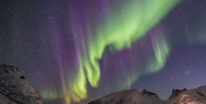 23 THINGS IN NATURE TO SPARK JOY