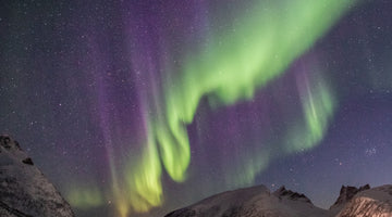 23 THINGS IN NATURE TO SPARK JOY